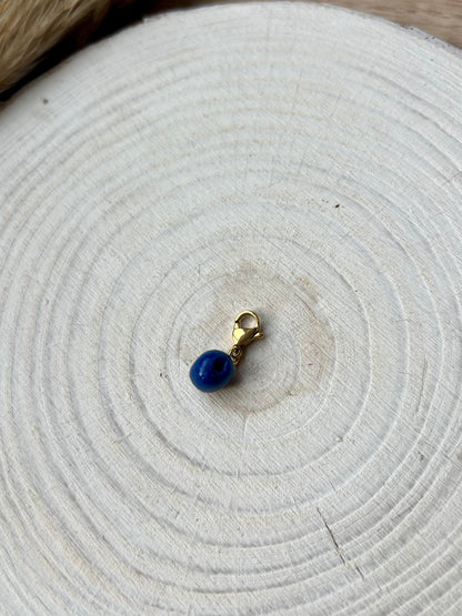 Small charm - fruits/veg etc. ( gold attachments)