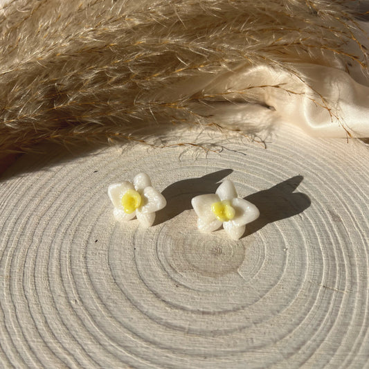 Orchid - yellow